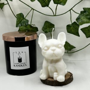 Bouledogue Français