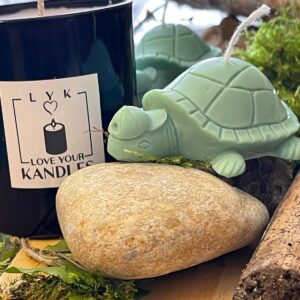 Bougie Tortue de Terre