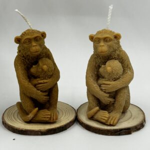 Maman et bébé singe