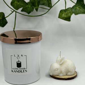 Petit Lapin Mignon