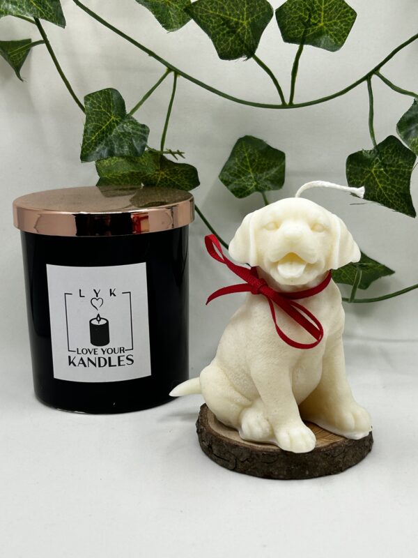 Bougie Chien Labrador