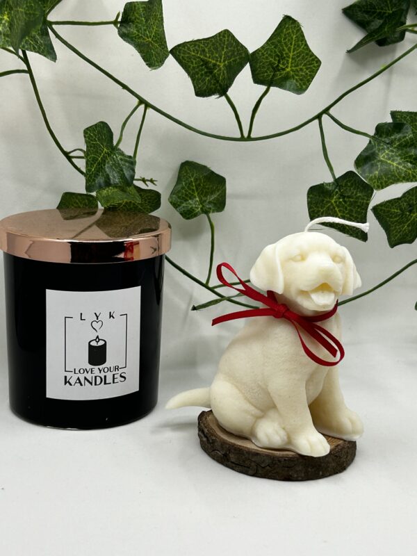 Bougie Chien Labrador – Image 10