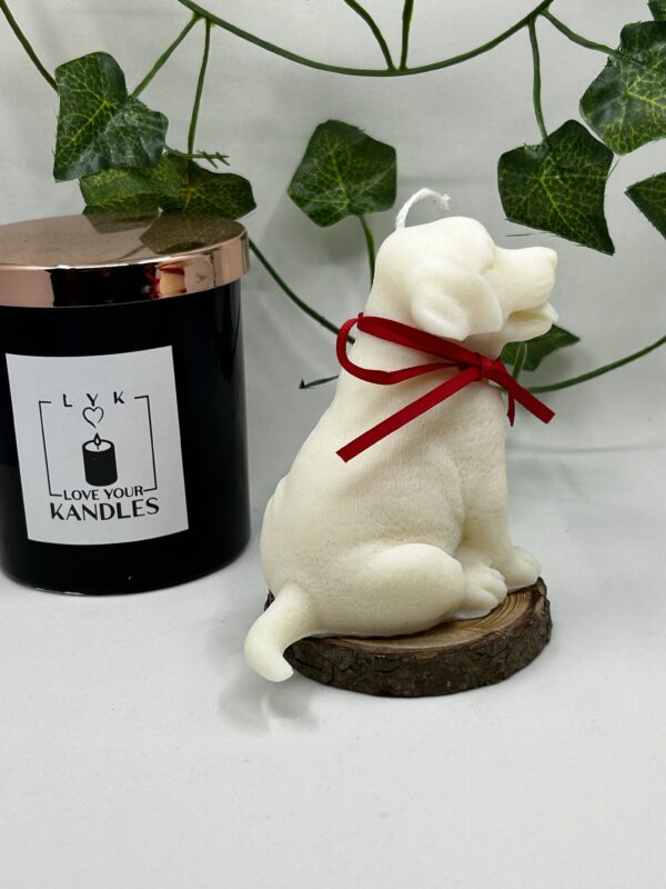 Bougie Chien Labrador – Image 9