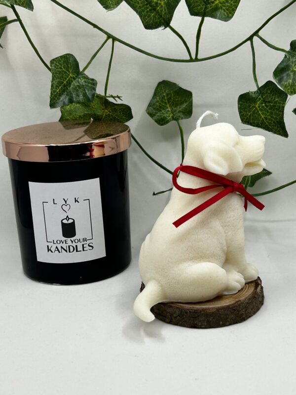 Bougie Chien Labrador – Image 11