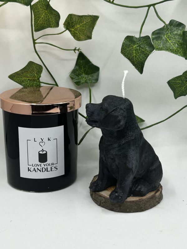 Bougie Chien Labrador – Image 3
