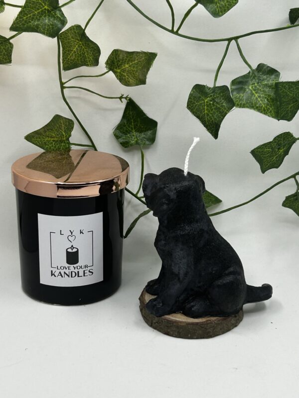 Bougie Chien Labrador – Image 4