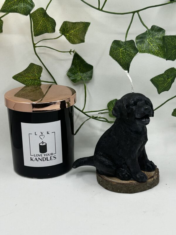 Bougie Chien Labrador – Image 5