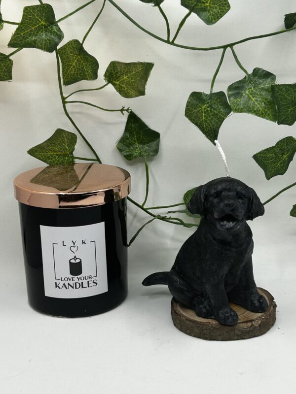 Bougie Chien Labrador – Image 6