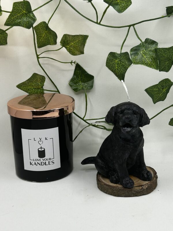 Bougie Chien Labrador – Image 7