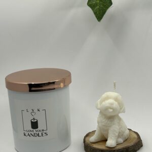 Petit Chiot Labrador