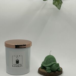 Tortue Lumineuse