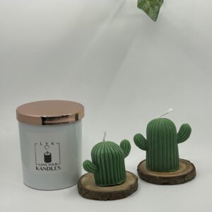 Bougie Cactus en Duo