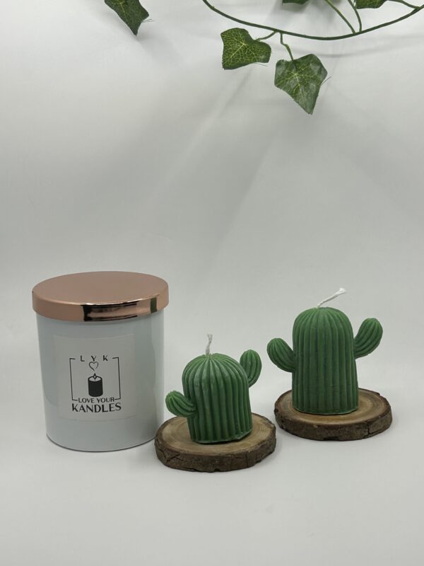 Bougie Cactus en Duo