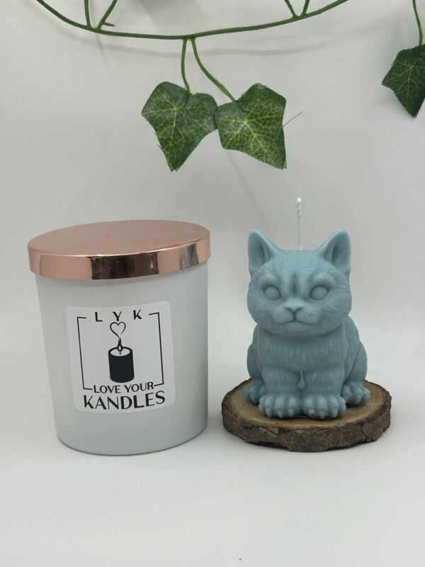 Bougie Tomcat – Image 2