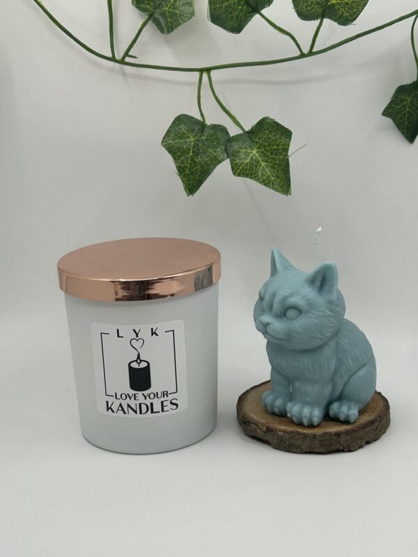 Bougie Tomcat – Image 4