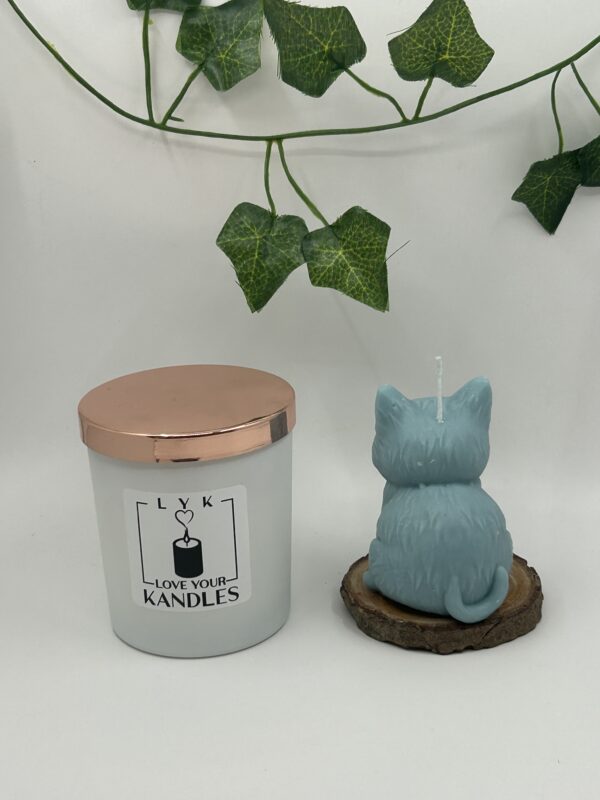 Bougie Tomcat – Image 5