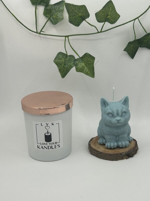 Bougie Tomcat – Image 6