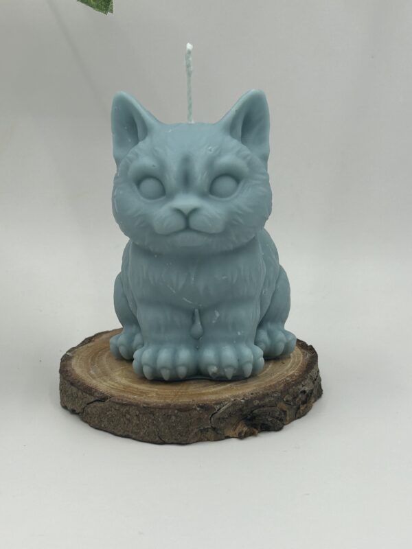 Bougie Tomcat – Image 7
